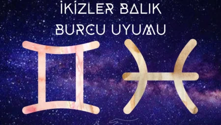 Balık ve İkizler Burç Uyumu