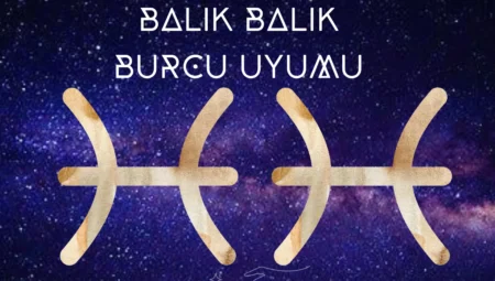 Balık ve Balık Burç Uyumu